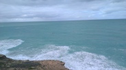 Whales at Head of the Bight